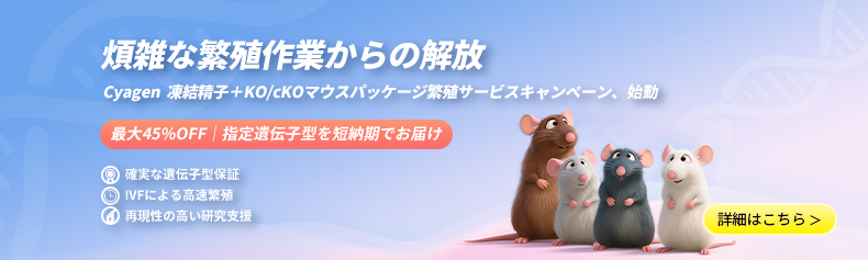 Cyagen凍結精子＋KO/cKOマウス 繁殖支援キャンペーン