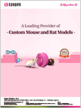 Custom Mouse and Rat Models