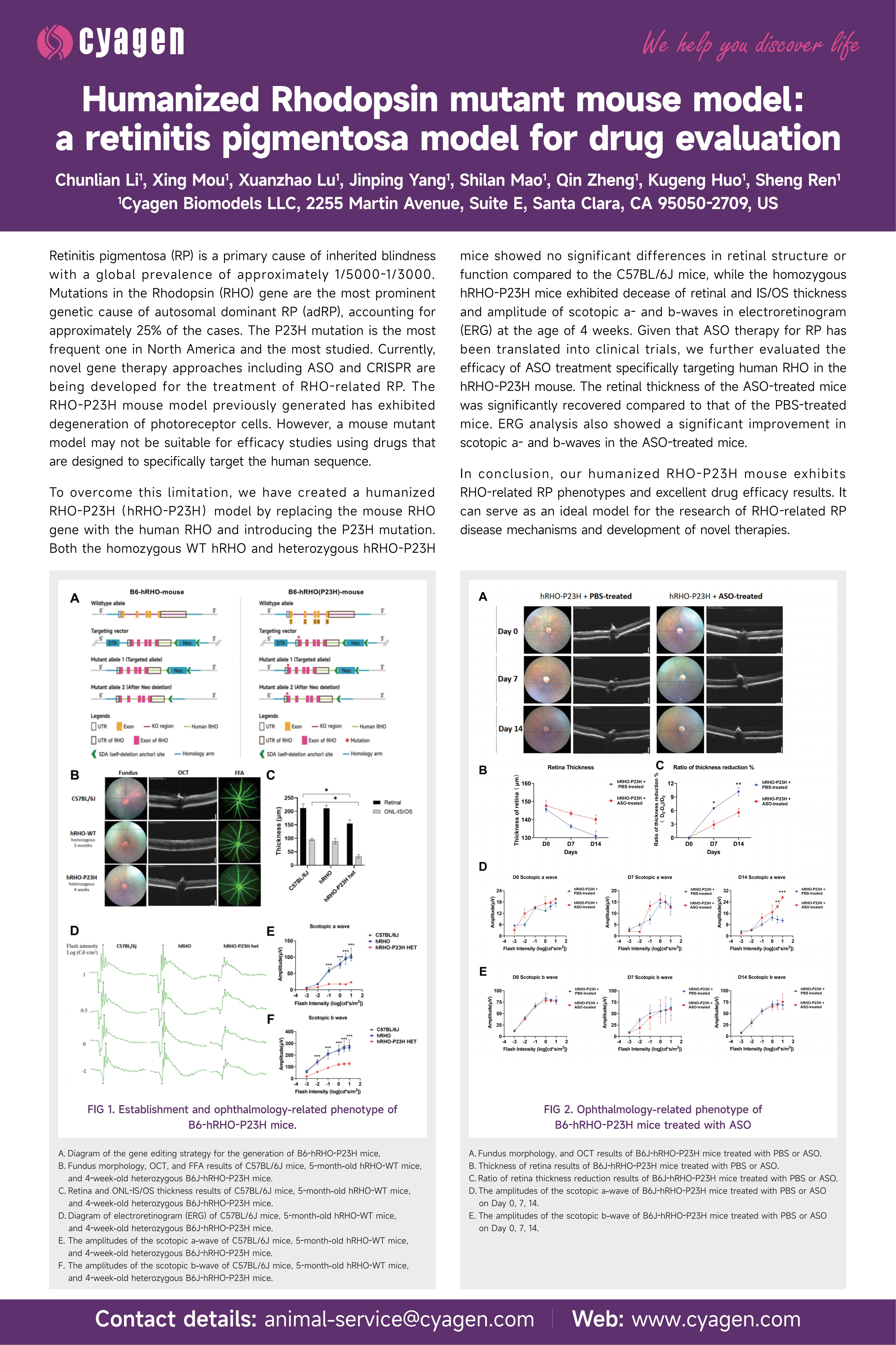 Cyagen hRHO-P23H poster
