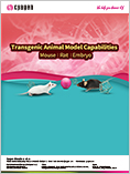 Transgenic Animal Models
