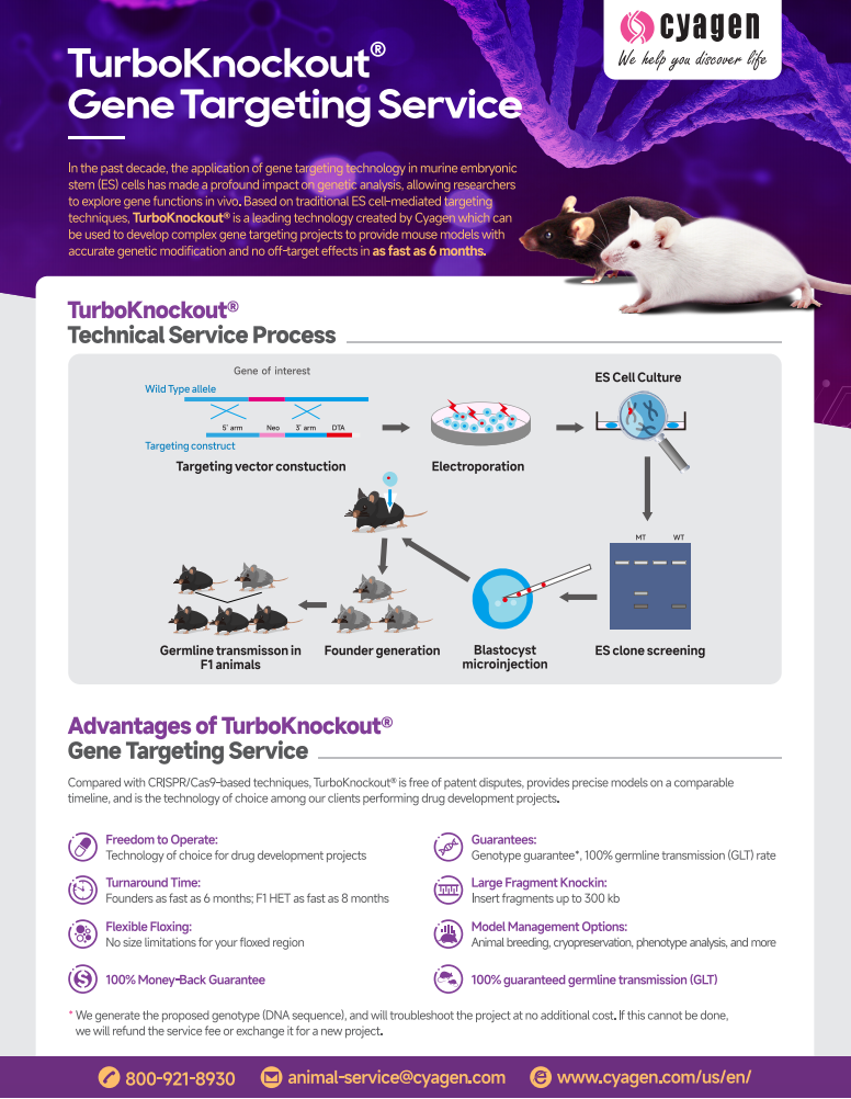 Cyagen TurboKnockout Gene Targeting Services
